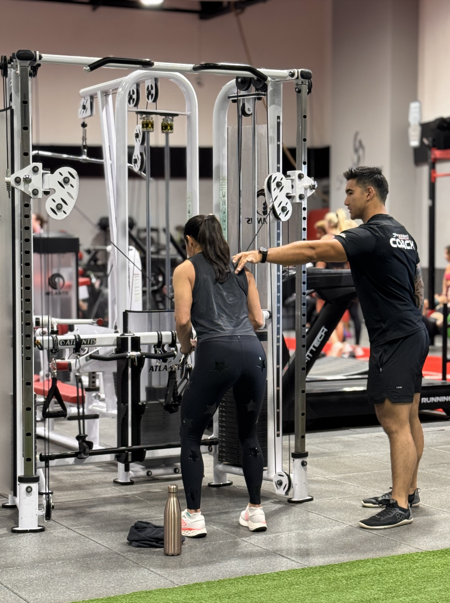 Shredded gym training