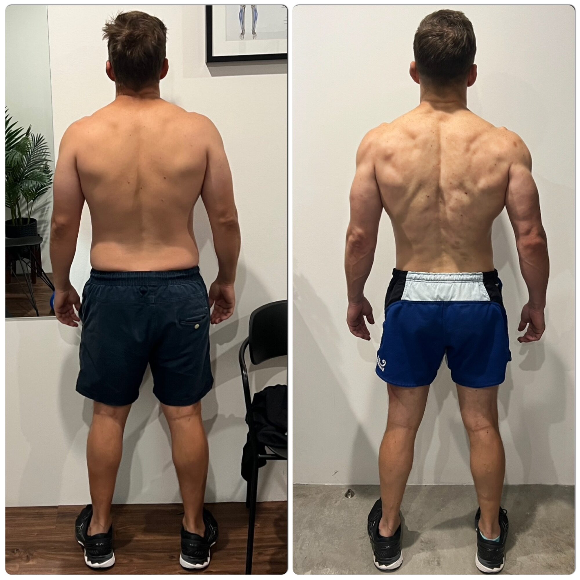 back transformation